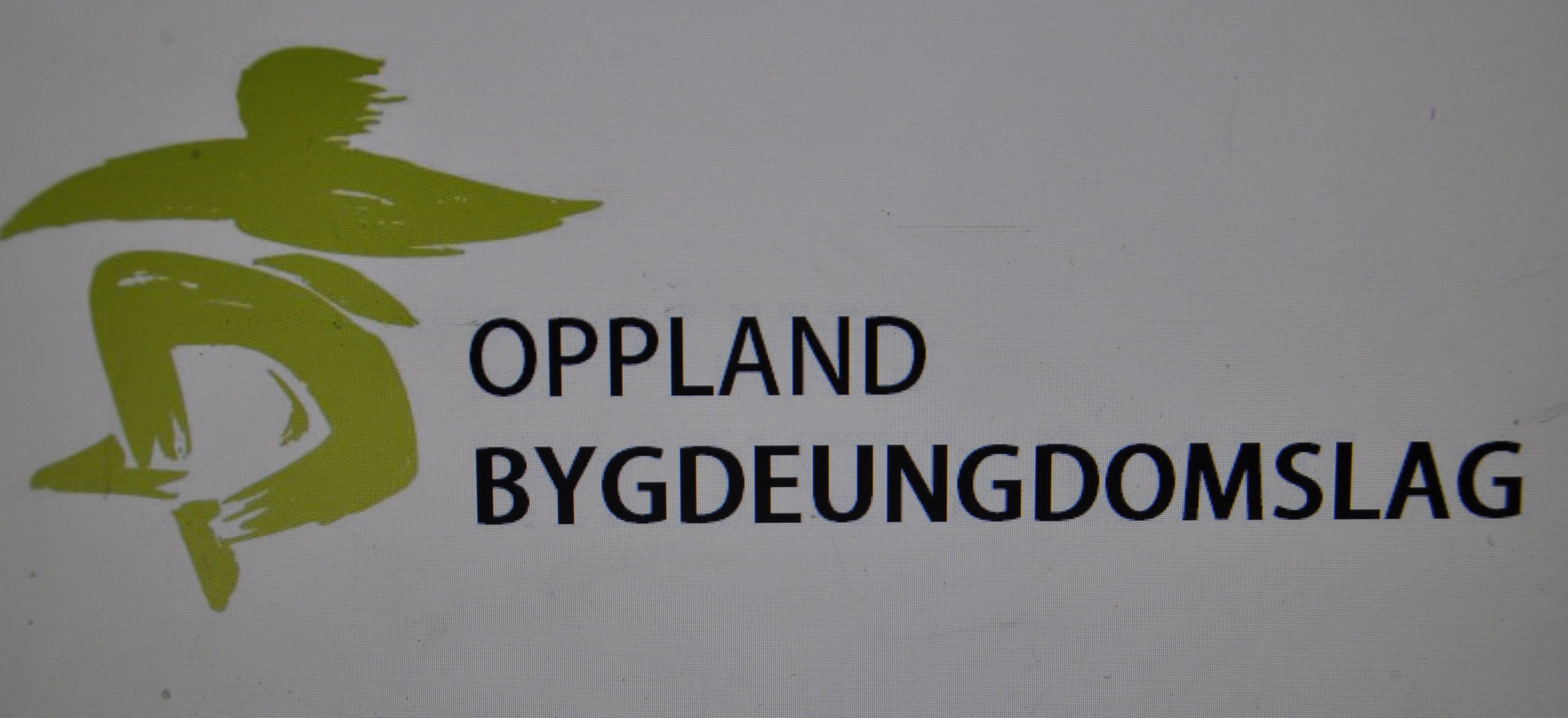 Oppland Bygdeungdomslags vinterstemne på Bagn i helga